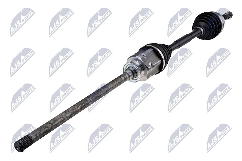 Poloos Lexus RX (2003-2008)